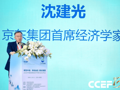 沈建光：農村消費潛力待挖 數字消費成城鄉融合關鍵紐帶