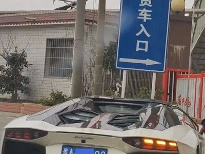 “老干媽”陶華碧豪車收藏揭秘：貴陽定制添越領銜，四連號車牌顯實力