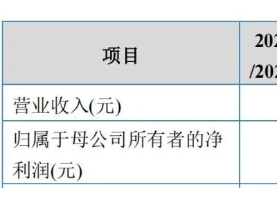 隆源股份擬募資擴產:新能源汽車業務崛起 毛利率卻持續承壓