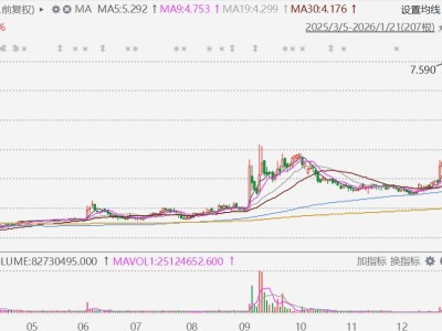 港股異動丨創維集團復牌飆升46%創歷史新高,實物分派創維光伏股份并以介紹形式在主板上市