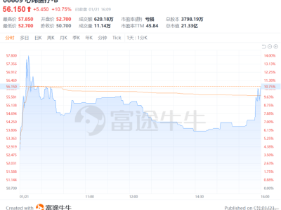 稅前利潤(rùn)增幅近800%,心瑋醫(yī)療-B(6609.HK)憑硬實(shí)力領(lǐng)跑神經(jīng)介入賽道