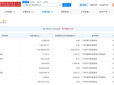 富力地產欠稅13億被公告