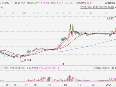 港股異動丨金銀價不斷新高,“礦山”概念股比優集團飆升近24%創新高