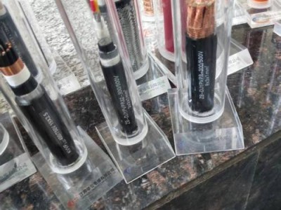 2026江蘇新能源與充電樁電纜實力廠家測評及選購指南全解析