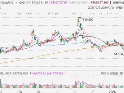 港股異動丨小鵬汽車大跌近10%,1月交付同比下降34.07%