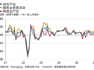 中國1月RatingDog綜合PMI升至51.6