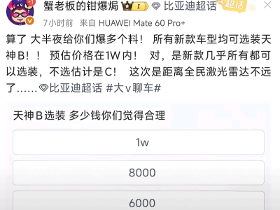 比亞迪天神之眼B或全系選裝，小車也能享高階智駕，友商壓力來了？