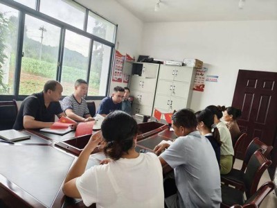 “金葉”鋪就振興路 深耕治理聚民心——民樂村的靜默蛻變與希望答卷