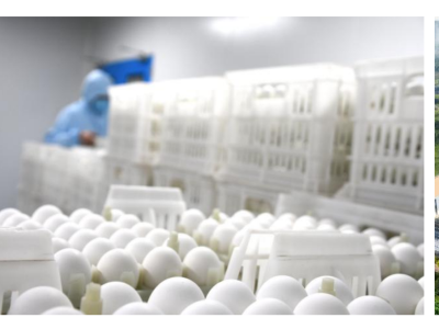 成大生物（本溪）有限公司高劑量流感疫苗獲批開展臨床試驗