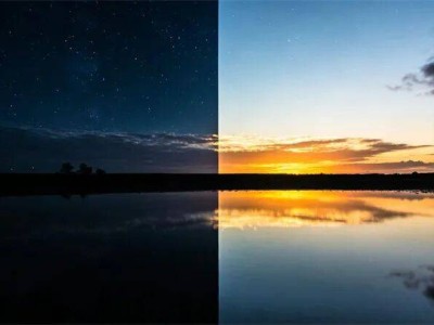 2026年1月車市遇冷 合資車企逆境中展現更強抗壓力？