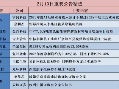 公告精選︱掌閱科技：2025年度AI短劇業務收入預計不超過2025年度主營業務收入的1%；嘉麟杰：實際控制人李兆廷被采取強制措施