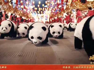 春晚舞臺(tái)上的“魔法時(shí)刻”：具身智能落地，機(jī)器人開(kāi)啟真實(shí)服務(wù)新篇