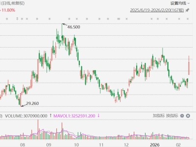 港股異動丨發盈喜,速騰聚創大漲超15%