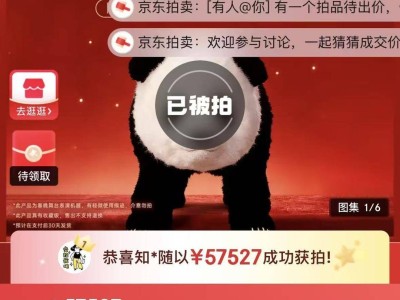 春晚機器人成新寵：“仿生蔡明”贈真身，“熊貓款”高價落槌引熱議