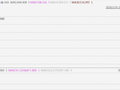 港股異動(dòng)丨MiniMax逆勢(shì)大漲超8%，國(guó)產(chǎn)模型霸榜OpenRouter