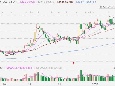 A股異動(dòng)丨遭遇利空?中國(guó)中免跌停