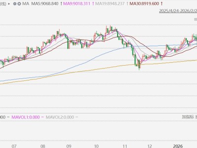 澳股收盤再創歷史新高