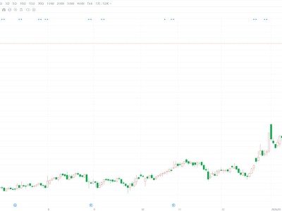 A股異動丨百達精工跌逾7% 機器人業務收入占公司營收比例極低