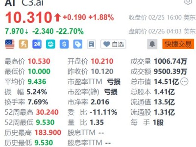 美股異動(dòng) | C3.ai盤前暴跌22% Q3業(yè)績(jī)及Q4指引均遠(yuǎn)遜預(yù)期