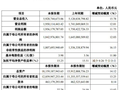 金山辦公2025年業績亮眼：營收凈利雙增，WPS多業務線齊頭并進