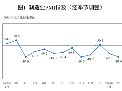 中國2月官方制造業(yè)PMI為49，低于預期