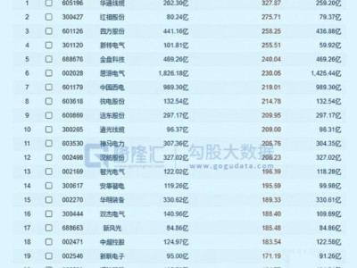 賽道牛股頻出，下一個千億龍頭是它？