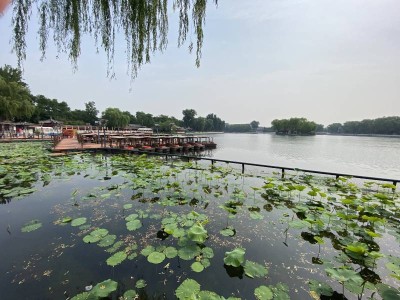 2026北京旅行社十大榜單揭曉！珈程國旅領銜，入境接待誠信服務獲贊