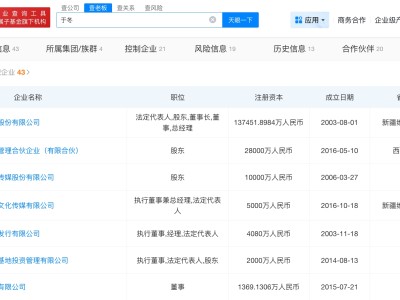 于冬所持多家公司股權已被凍結