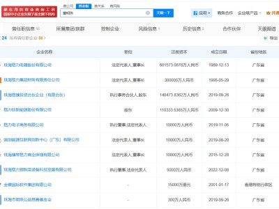 董明珠名下關(guān)聯(lián)超20家企業(yè)