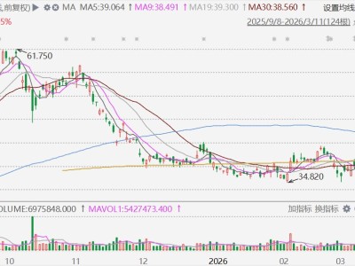 港股異動丨實現(xiàn)首次季度盈利，蔚來飆升近20%