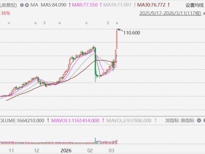 港股異動丨健康160飆升超25%，創上市新高，營運系統引入OpenClaw