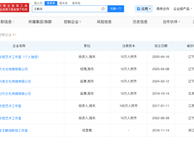 王鶴潤(rùn)名下公司叫花飛升