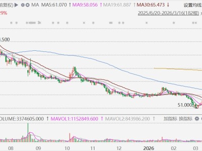 港股異動丨去年扭虧，布魯可放量大漲近20%