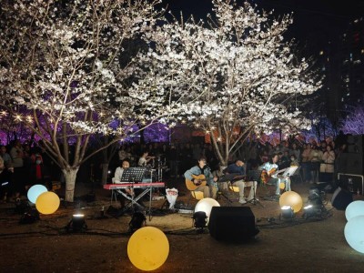 風雅西北湖春日啟幕！櫻花與藝術交融，江漢免費活動邀你共赴浪漫之約