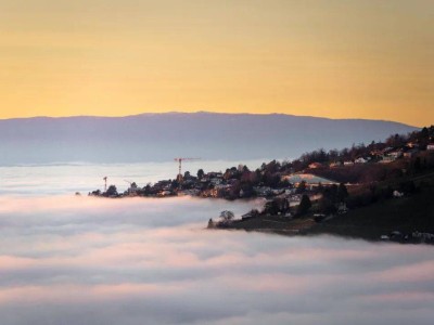 楊斌：“模元”或成AI時代關(guān)鍵紐帶 中文譯名推廣刻不容緩