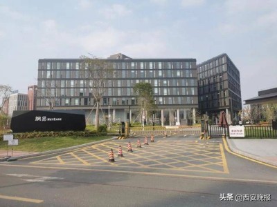 網易辟謠“用AI清退全部外包”：系業(yè)務調整下正常人員優(yōu)化舉措