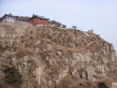 青綠之間見初心：張耀南用一生為泰山織就生態(tài)錦繡畫卷