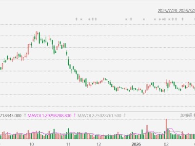 美股異動丨超微電腦暴跌29%，創2024年11月以來新低