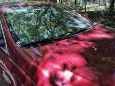 13年老司機血淚總結：避開這些坑，新車車漆多年依舊亮澤如新