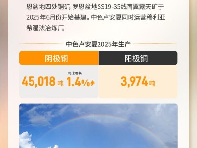 一圖讀懂中國有色礦業(1258.HK)2025年度業績：生產運行總體平穩，高比例分紅回饋股東