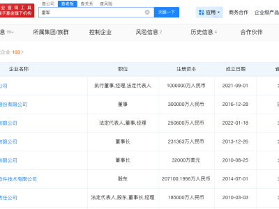 雷軍關(guān)聯(lián)超80家企業(yè)