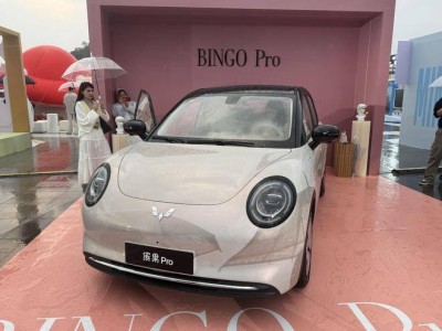 全新繽果Pro亮相：新復(fù)古設(shè)計遇上5門5座，A0級市場新選擇來襲