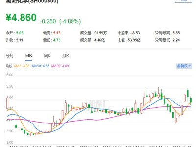 A股異動 | 渤?；瘜W跌近5% 2025年凈虧損6.46億元