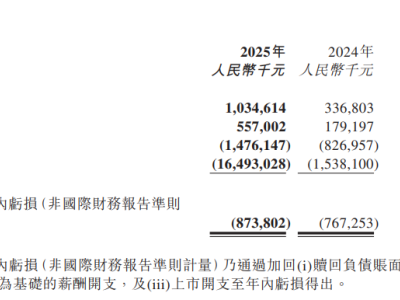 壁仞科技2025年營收毛利雙增 研發(fā)投入加碼 智算集群項目落地多領(lǐng)域