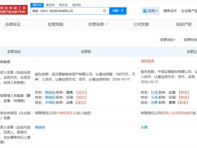 中信證券接手蔚能旗下武漢電池科技公司