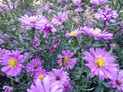 中小企業破局之道:借自媒體東風,實現低成本獲客與品牌突圍