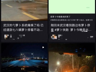 武漢“蘿卜快跑”無人駕駛出租車集體停擺，安全兜底成發展關鍵議題