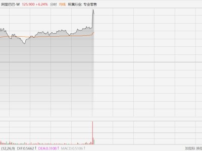 阿里巴巴直線拉升漲7%