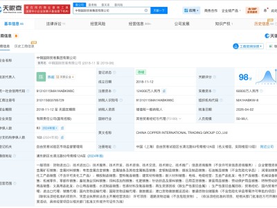 中銅國際貿易集團增資至12.4億 增幅約107%