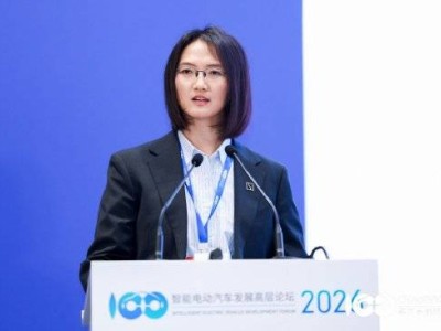 徐云：極氪9X憑技術實力獲海內外認可，成中國品牌撬動全球市場利器